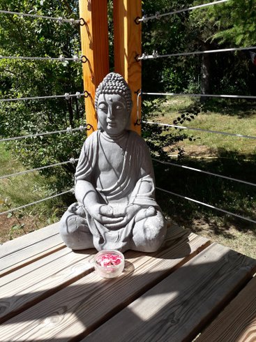 Hébergement AbracadaRoom : La roulotte de Naturospirit - Image 8