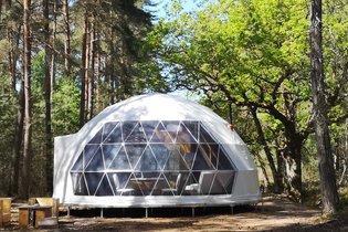 Bulle Suite des Chênes