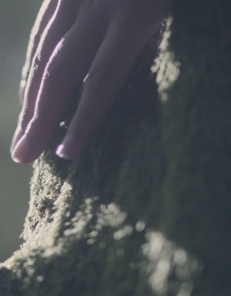 Domaine AbracadaRoom : Loire Valley Lodges - Hôtel - Image 12