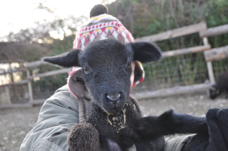 Domaine AbracadaRoom : Nid'Oiselet - Image 22