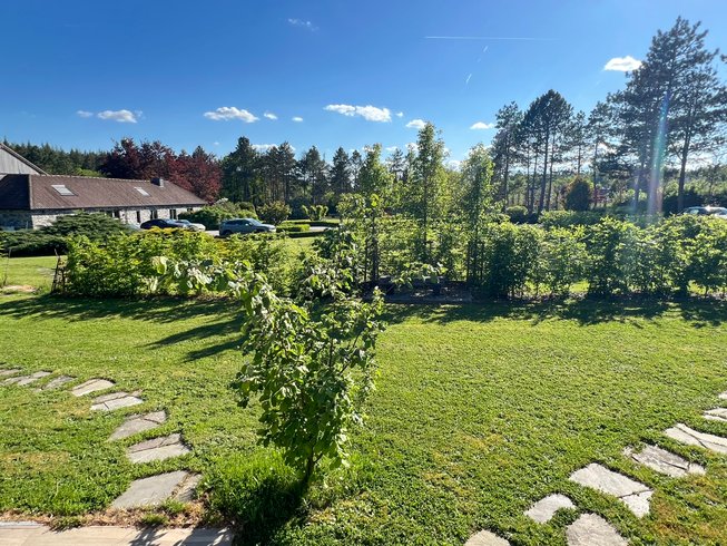 Domaine AbracadaRoom : Pine Tree tiny cottage - Image 12