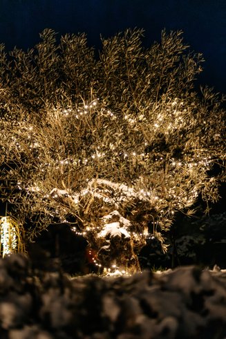 Hébergement AbracadaRoom : Suite d'Exception - Spa & Sauna - Image 28