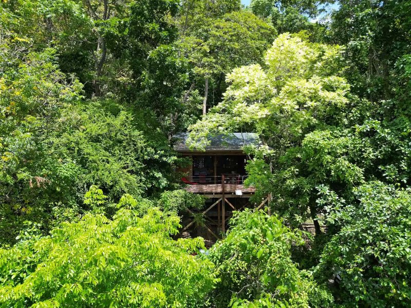 Domaine AbracadaRoom : Les cabanes entre les arbres de Lydie - Image 8