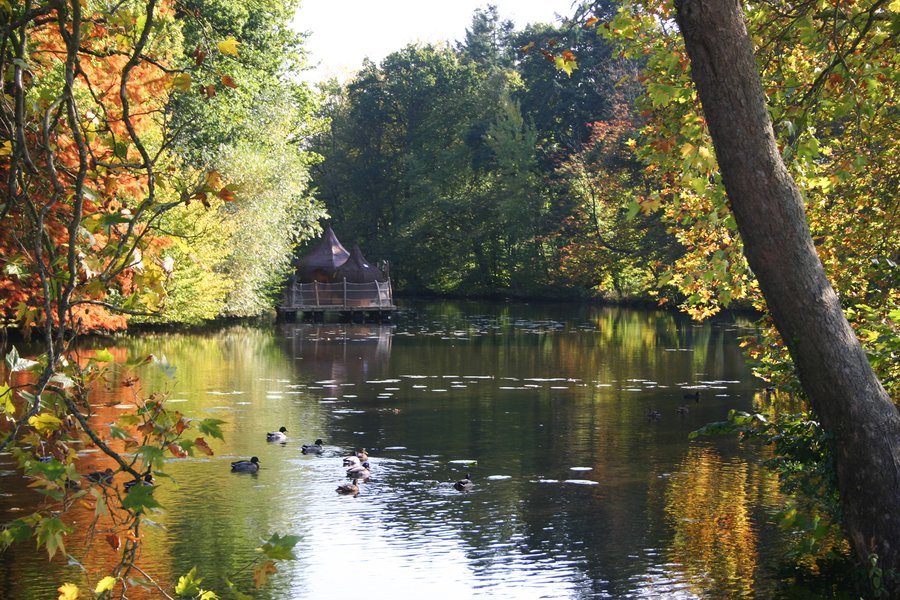 Hébergement AbracadaRoom : Cabane Flottante Dérive - Image 14