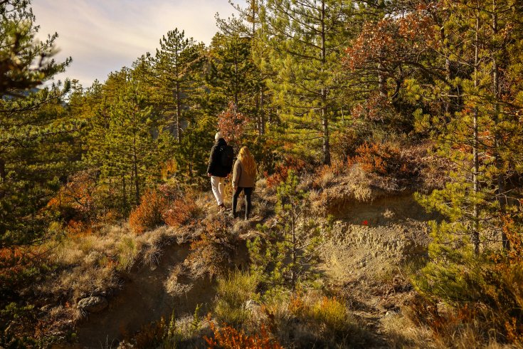 Hébergement AbracadaRoom : Épine Vinette & Spa - Image 25