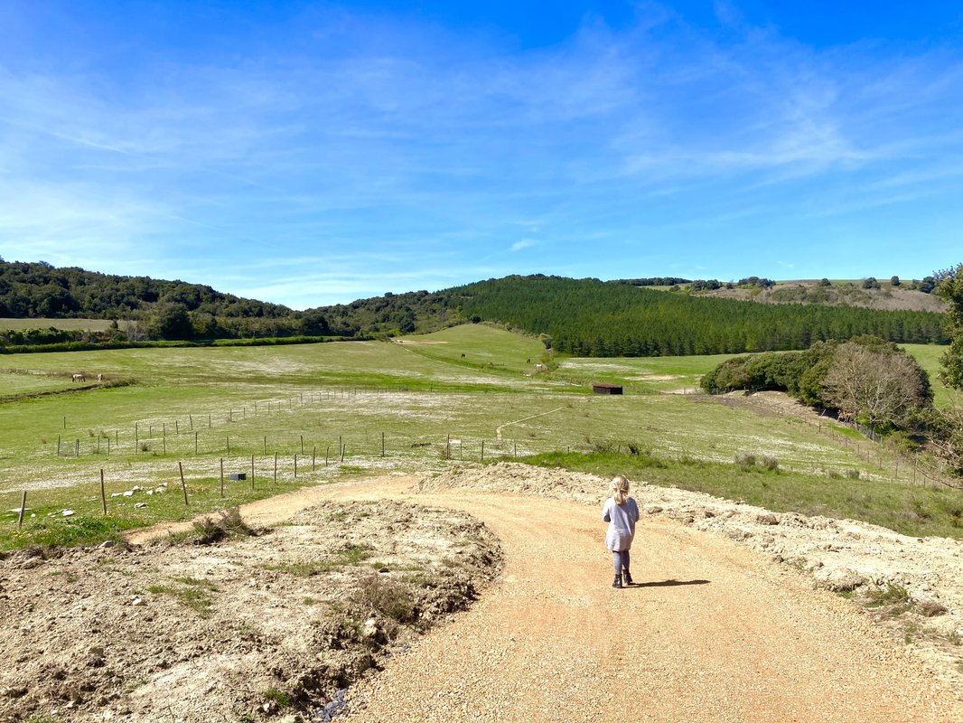 La Cabane perchée "A perte de vue" à Villarzel Du Razès (34)