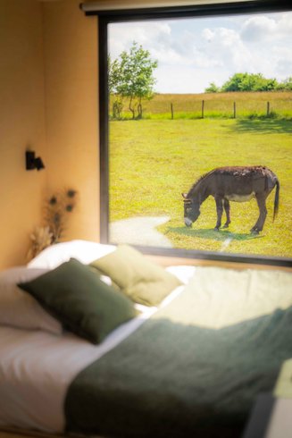 Hébergement AbracadaRoom : Parcel Tiny House - près des animaux dans le Jura - Image 3
