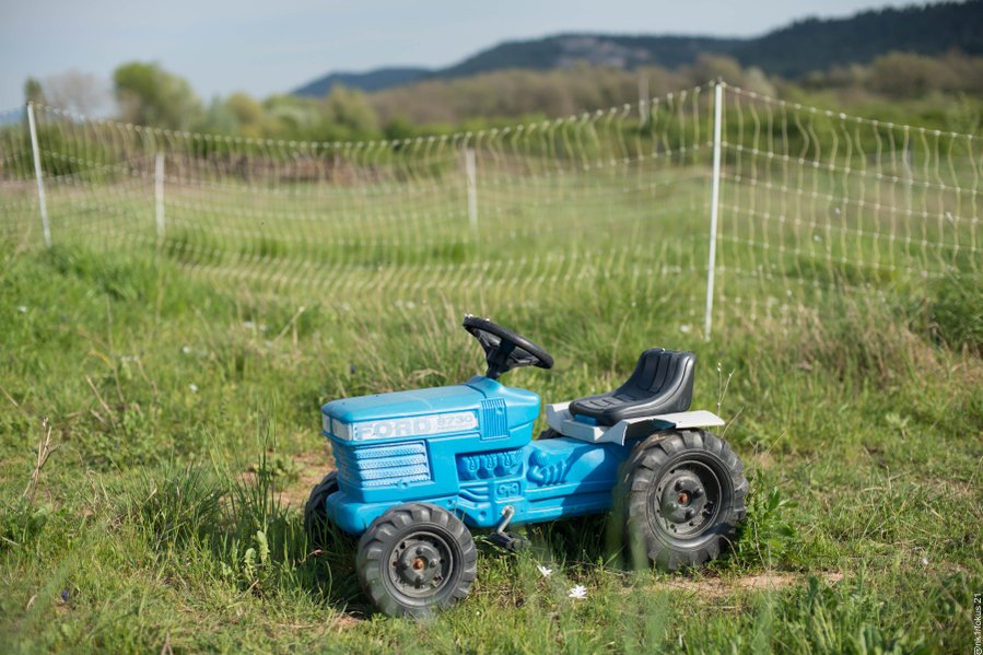 Domaine AbracadaRoom : Ferme des Bréguières - Image 3