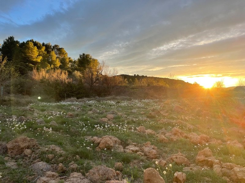 Domaine AbracadaRoom : Glamping Dôme les Cigales - Image 32