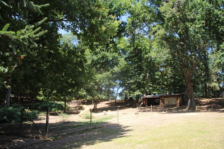 Hébergement AbracadaRoom : La Yourte sur Pilotis - Image 16