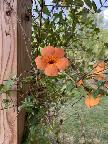 Domaine AbracadaRoom : Ô Saveur de l'instant - Image 8