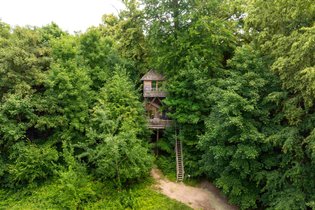 Cabane dans les arbres Oise