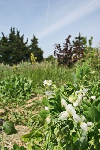 Domaine AbracadaRoom : La Ferme Naturelle - Image 1