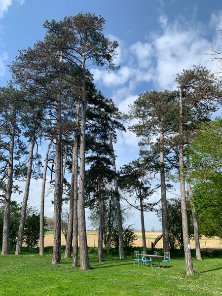 Domaine AbracadaRoom : La Bastide de Negra - Image 3