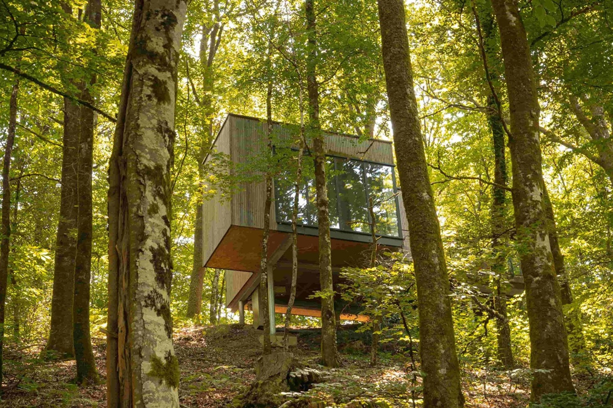 Hébergement UnicStay : Cabane Hêtre à Meyrignac L’eglise
