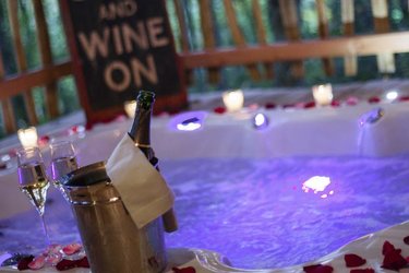 Lodge Vigne & Spa à Gardegan Et Tourtirac (4)