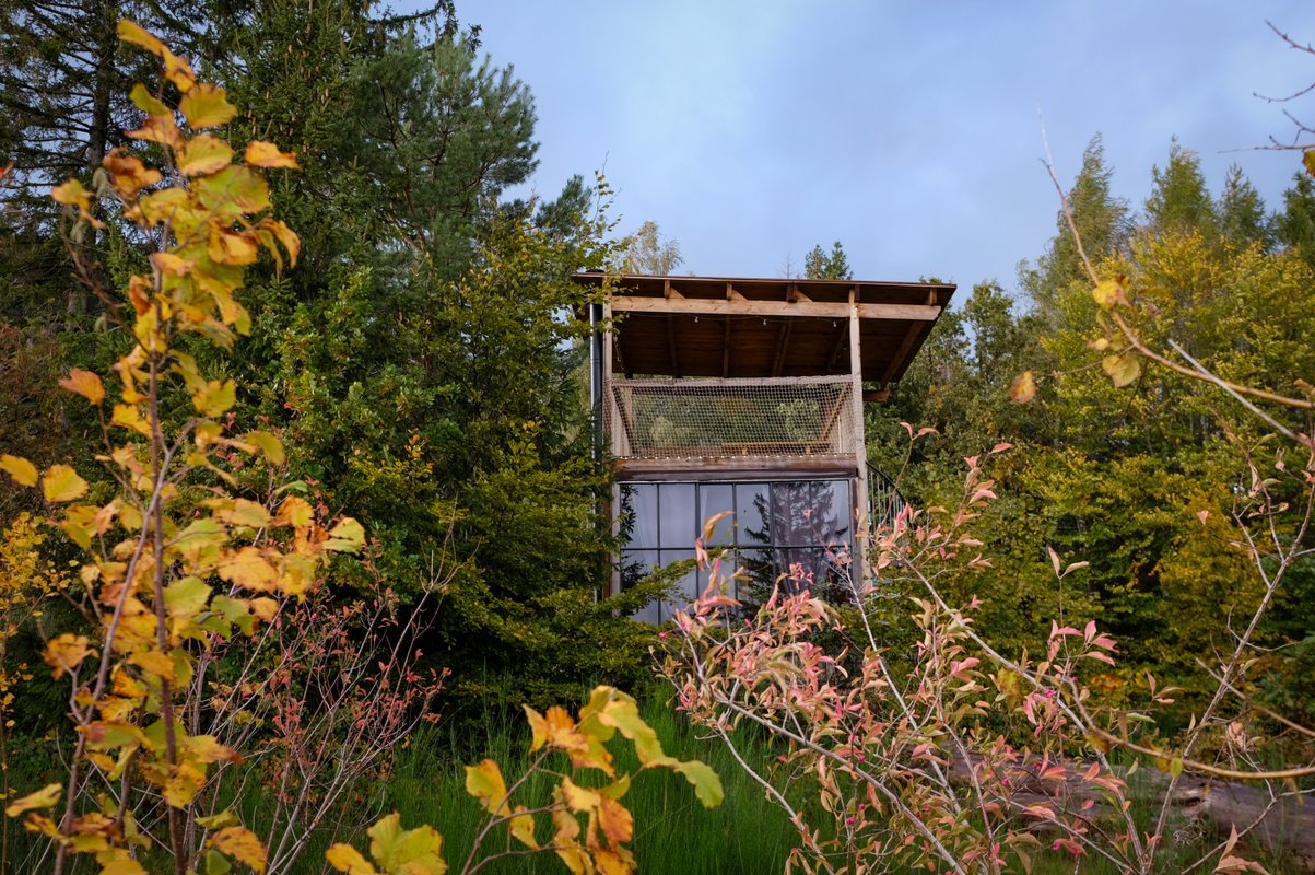 Nutchel Cabane Cosy Canopée à Plaine (17)