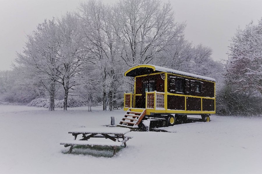 Roulotte Bohème — photo 2