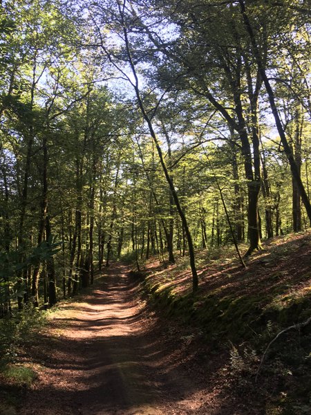 Domaine AbracadaRoom : Les Cabanes de Salagnac - Image 11