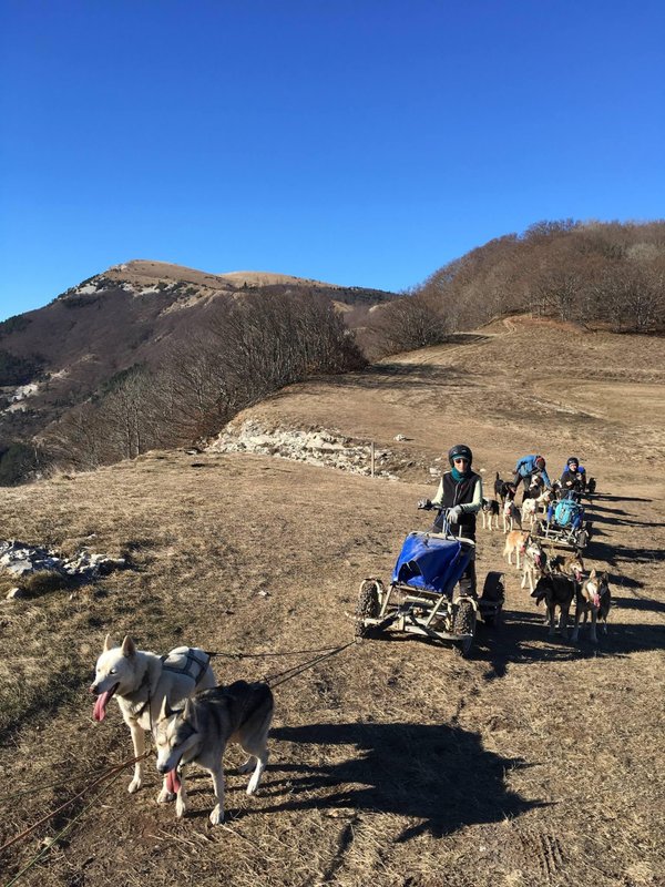 Kota 2 Ivalo - Séjour inoubliable auprès de huskies à Vassieux-En-Vercors (16)