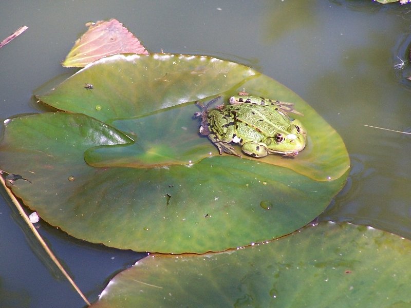 Domaine AbracadaRoom : Le Clos de la Risle - Image 15