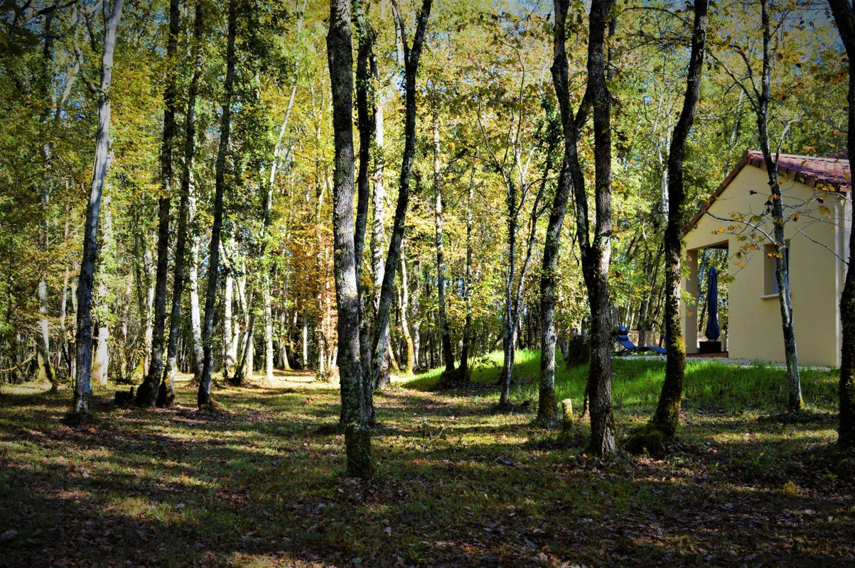 Gîte Nature & Spa privatif à Saint-Chamassy (16)