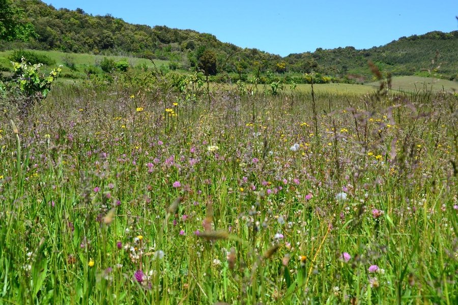 Domaine AbracadaRoom : Cabanes Trésors de Campagne - Image 35