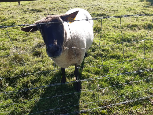 Hébergement AbracadaRoom : Tonneau Ô Verger - Image 22