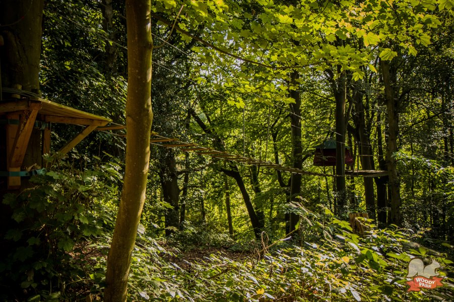 Hébergement AbracadaRoom : Tente suspendue Woody Park - Image 1