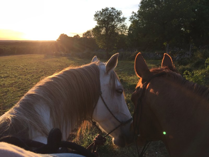 Domaine AbracadaRoom : Natura Zome - Image 5