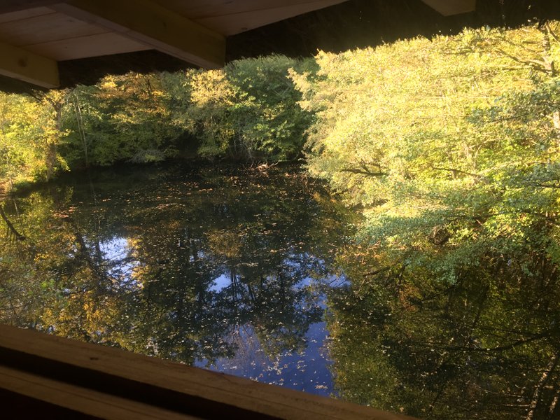 Hébergement AbracadaRoom : Cabane SPA Prague - Image 5