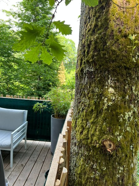 Hébergement AbracadaRoom : Cabane Petit Bois & Spa & Sauna - Image 42