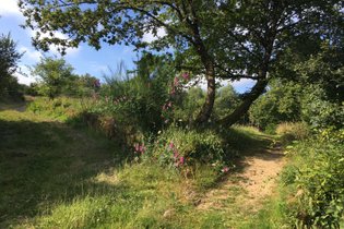 Les Jardins d'Yzorche