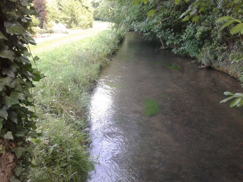 Domaine AbracadaRoom : Graine d'insolite - Image 4