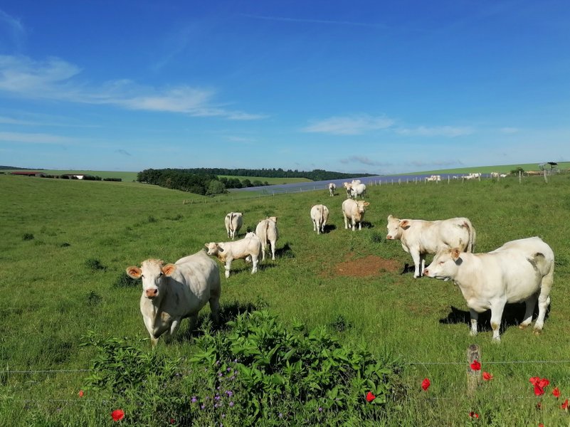 Domaine AbracadaRoom : Aux lodges de Morvaux - Image 2