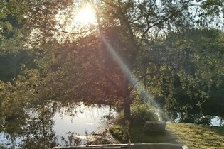 La ferme des histoires mélangées