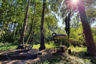 Bulle Sauvage la Maison du Rocher