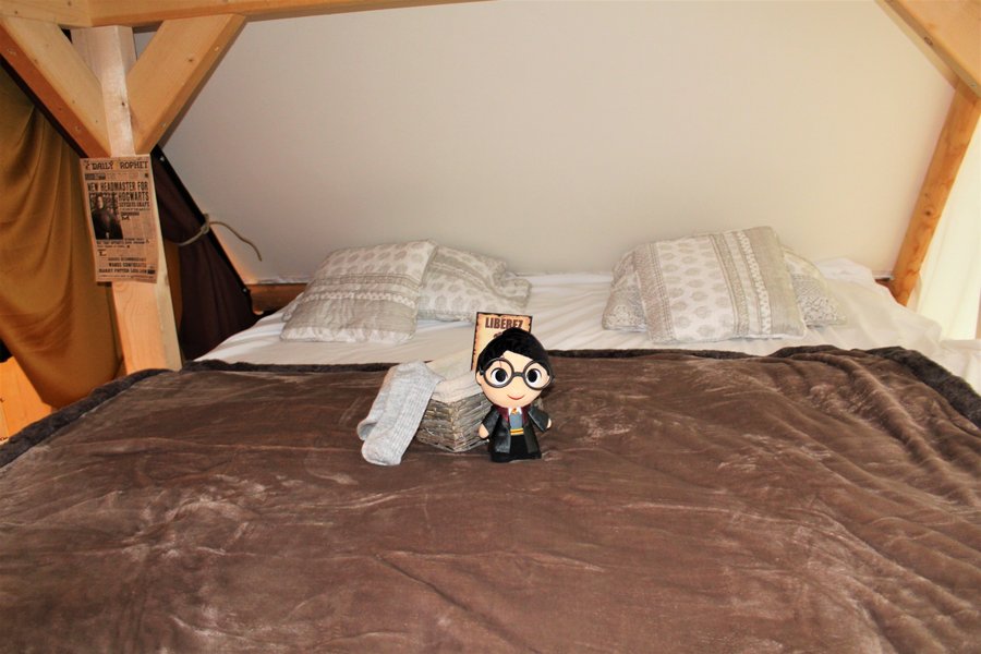 Hébergement AbracadaRoom : Le gîte Harry Potter - Image 13