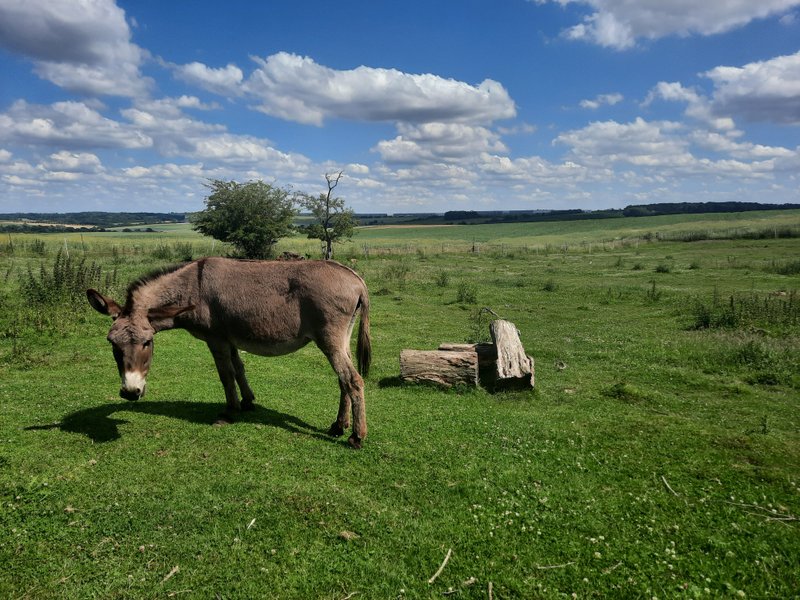 Domaine AbracadaRoom : Les Cabanes de la Loge - Image 9