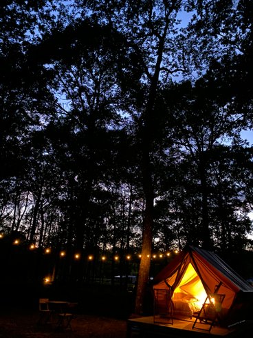 Domaine AbracadaRoom : Seasonova Camping la Forêt - Image 3