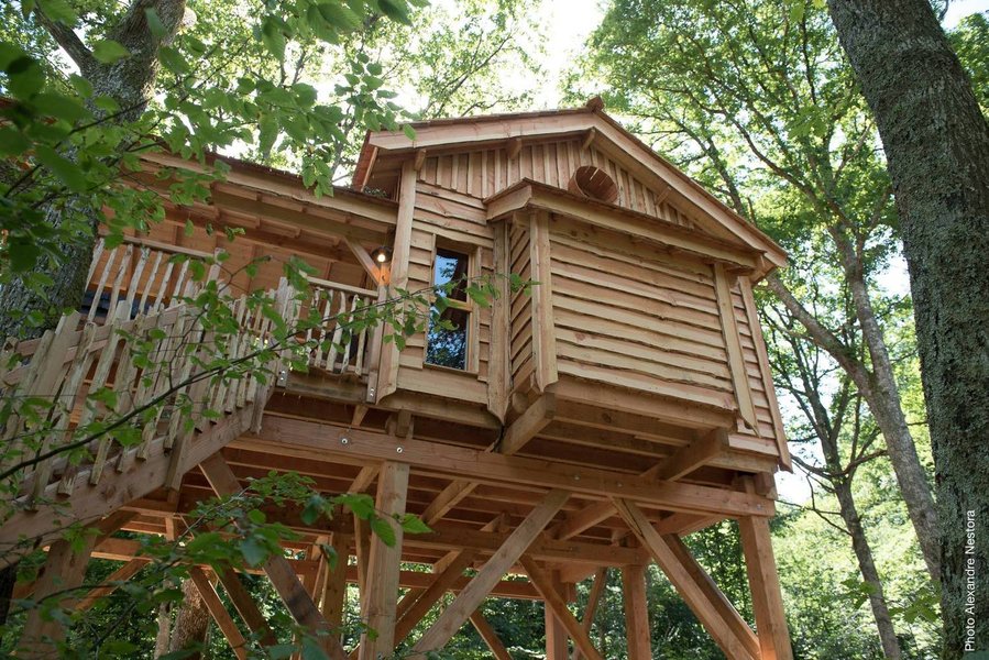 fenêtre-cabane dans les arbres-séjour insolite en famille-centre-abracadaroom