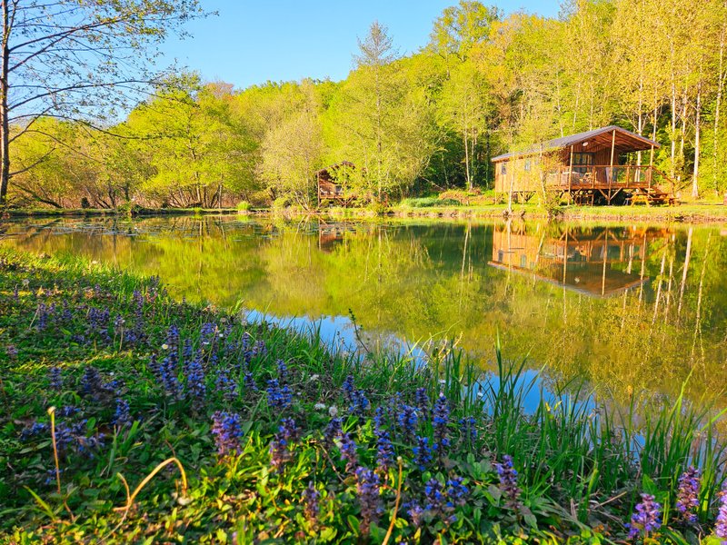 Hébergement AbracadaRoom : Lodge sur pilotis, étang privé, nature et biodiversité à Sarlat - Image 23