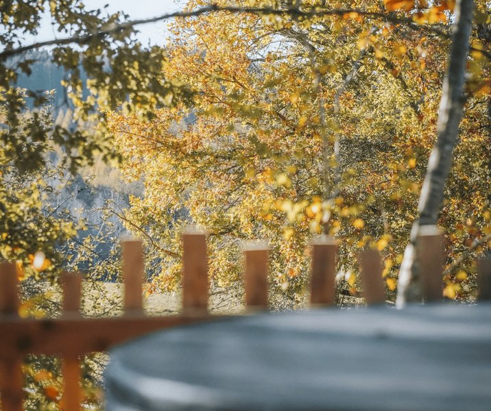 Hébergement AbracadaRoom : Cabanon Perché  à Château de Memanat - Image 69