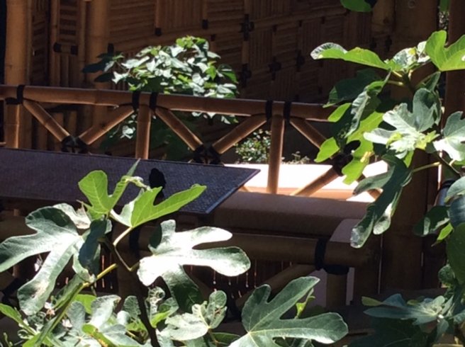 Domaine AbracadaRoom : Les Jardins de Valaurie - Image 10