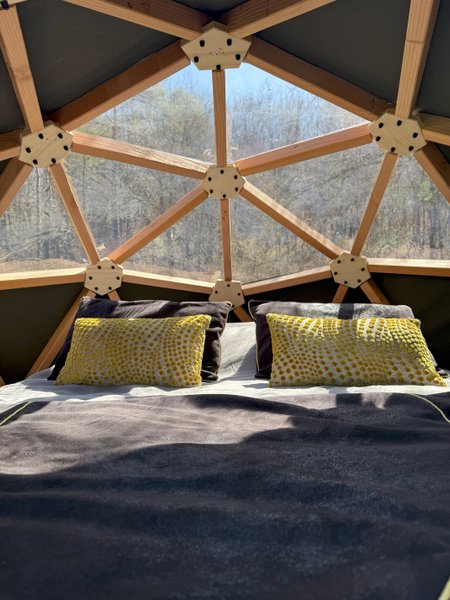 Hébergement AbracadaRoom : Dodomy House - Salamandre - Image 5