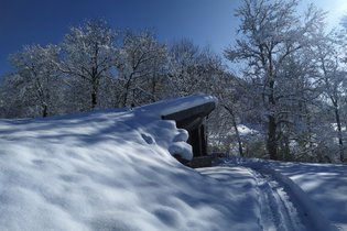 Cabane végétalisée Haute-Loire