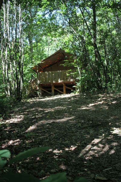 Hébergement AbracadaRoom : Tente Lodge Forestière - Image 17