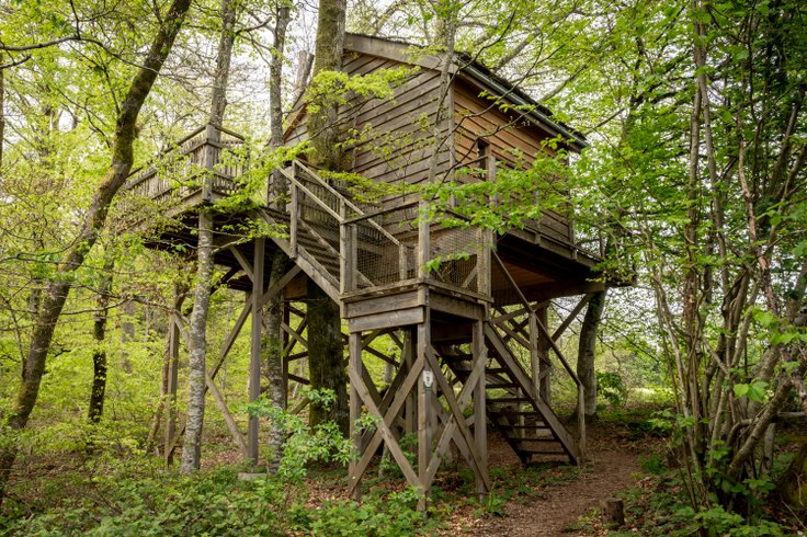 Hébergement AbracadaRoom : La Pat' de l'ours - Image 3