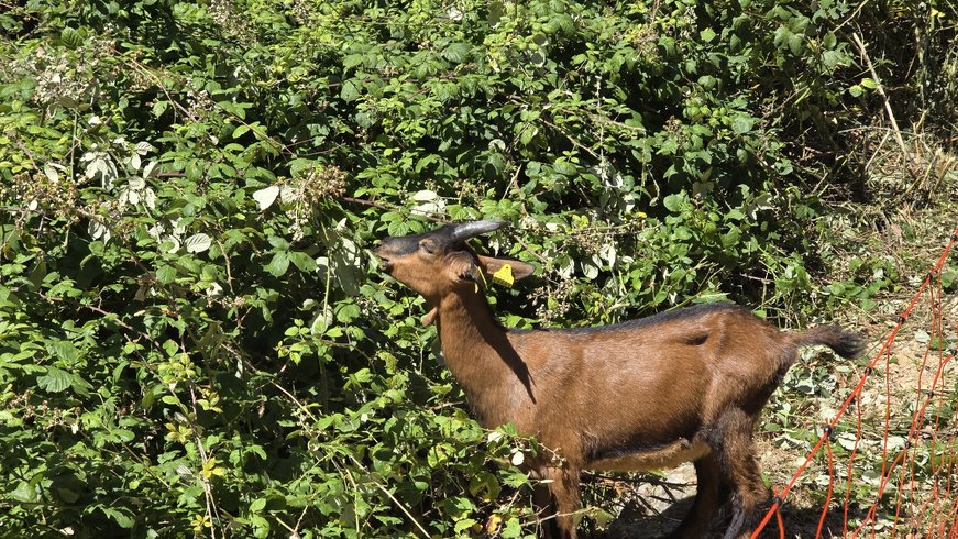 Domaine AbracadaRoom : Retour aux Sources - Image 10