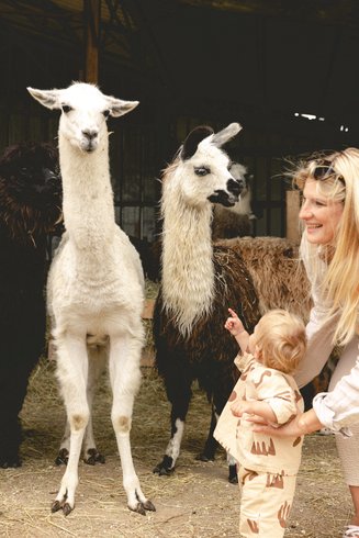 Hébergement AbracadaRoom : Parcel Tiny House - à 5 min du Zoo de Beauval - Image 21